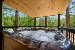 New! Hang Loose! Hot Tub, Firepit, Arcade, Playset - Image 3