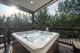 Naked Bear Retreat! Hot Tub! Arcade! Playset! - Image 2