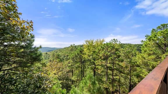 New! Unbelievable Views! Gourmet Kitchen! Firepit! - Image 5