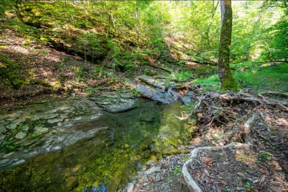 New! Play in Lukfata Creek! Hot Tub! Fire pit! - Image 1