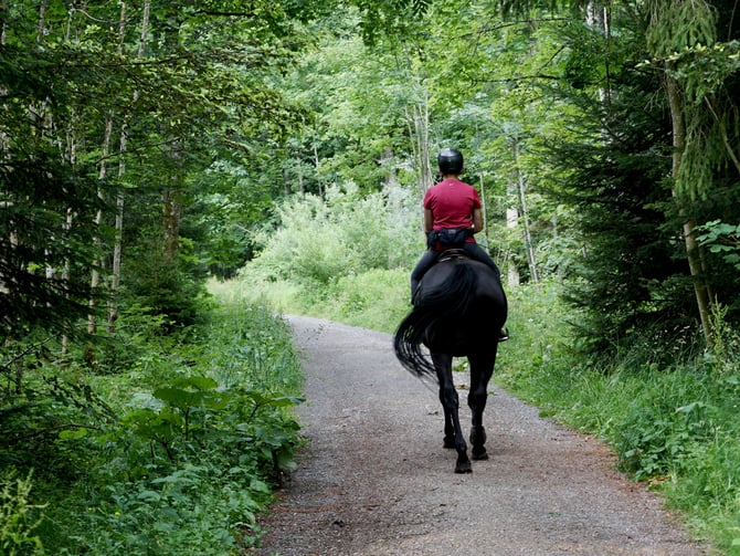 Riverman Trail Rides