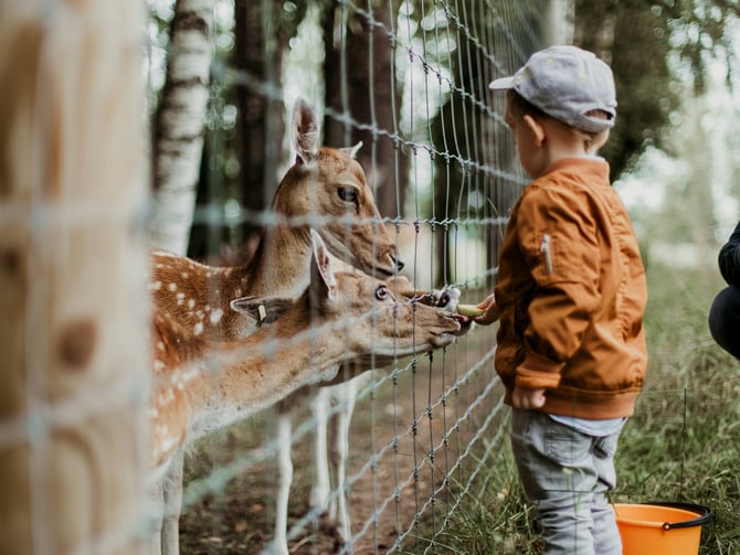 Hochatown Petting Zoo